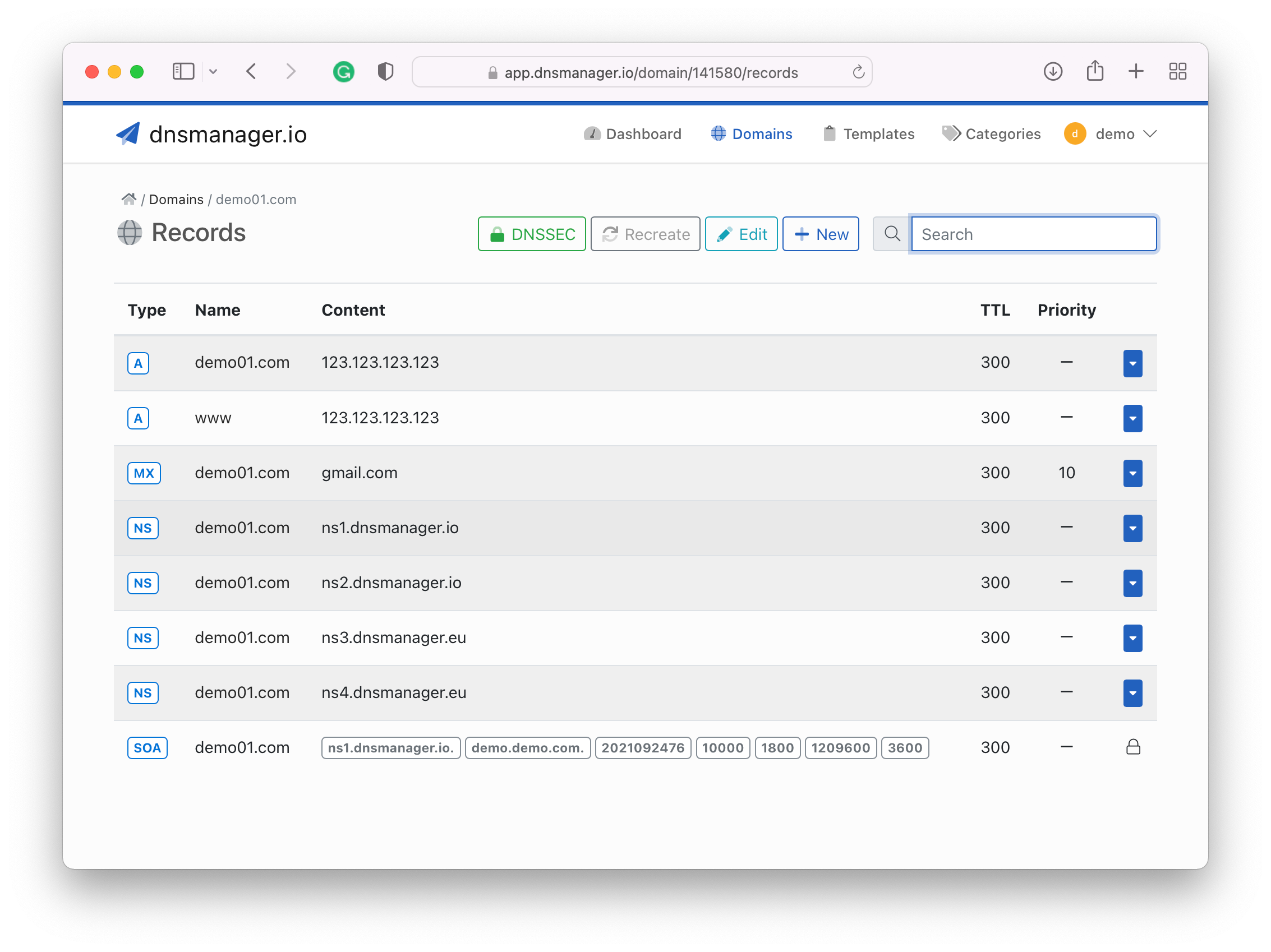 DNS Hosting Domain Records