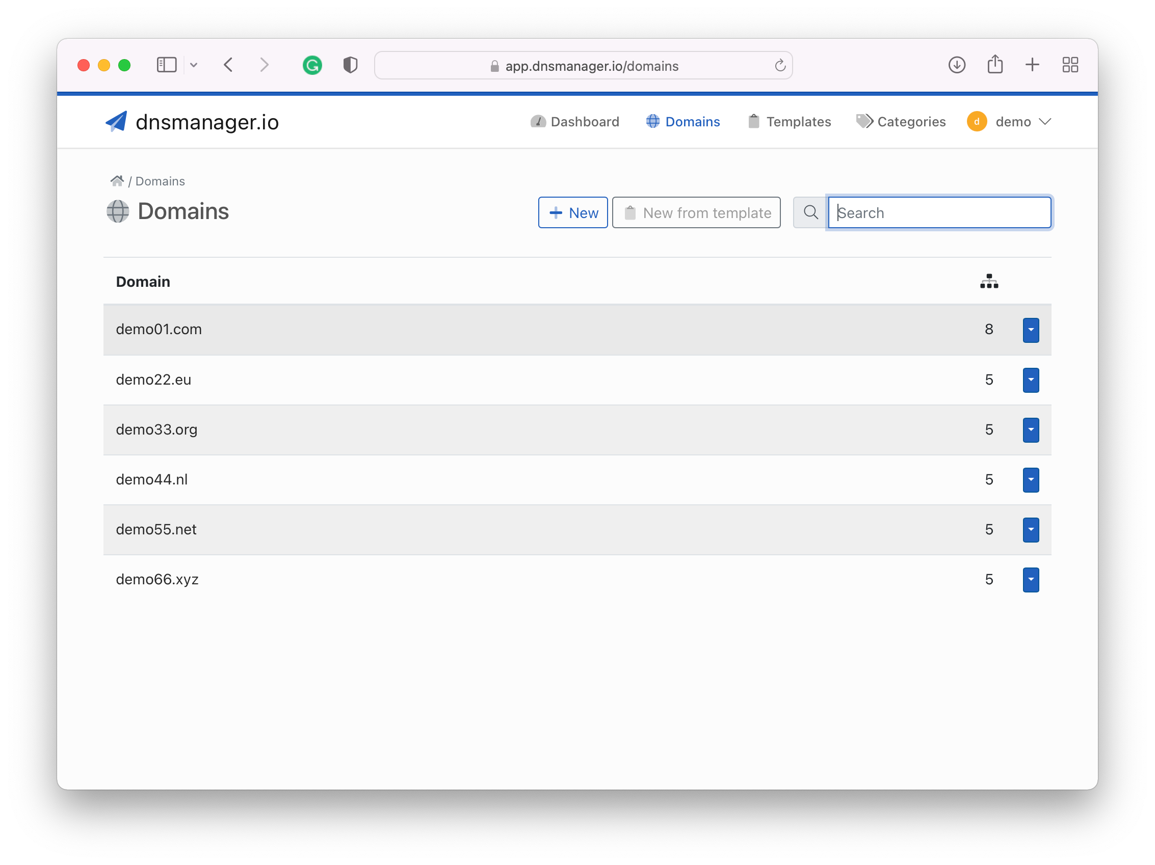 DNS Manager Domains